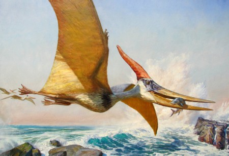 kreslený obraz Pteranodona