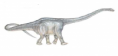 /album/fotogaleria/diplodocus-png/