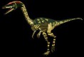 /album/fotogaleria/coelophysis-jpg/